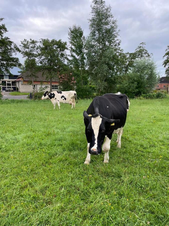 B&B Ut En Thus Sweagerbosk Eksteriør billede